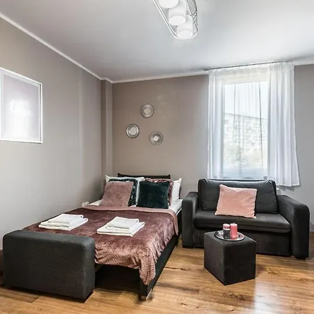 Rent Like - Gwiazdzista 10 Wroclaw