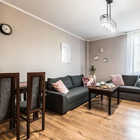 Rent Like - Gwiazdzista 10 *