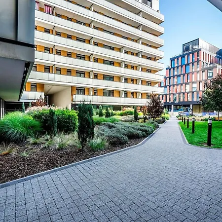 Rent Like - Gwiazdzista 10 Wroclaw